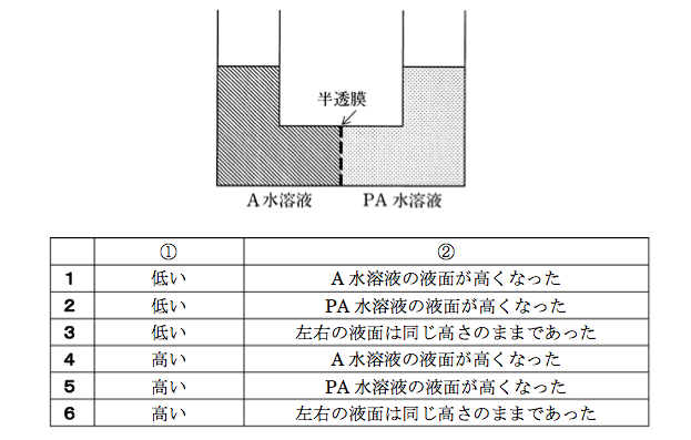 解説画像